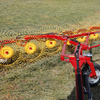 Trailed wheel rake Sitrex TR